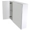 Double Bathroom Vanity, Wall Mounted, 48